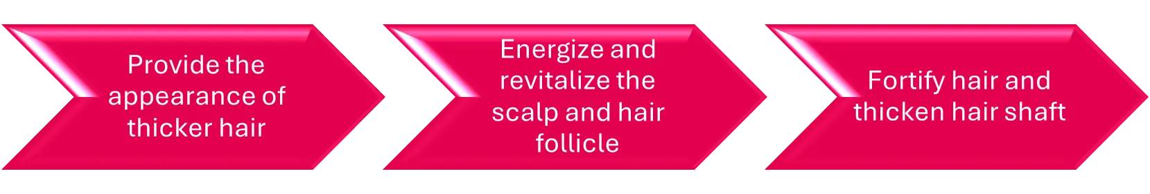 Energize and Revitalize